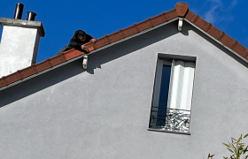 Ent. W. Arnt Couvreur à Nanterre